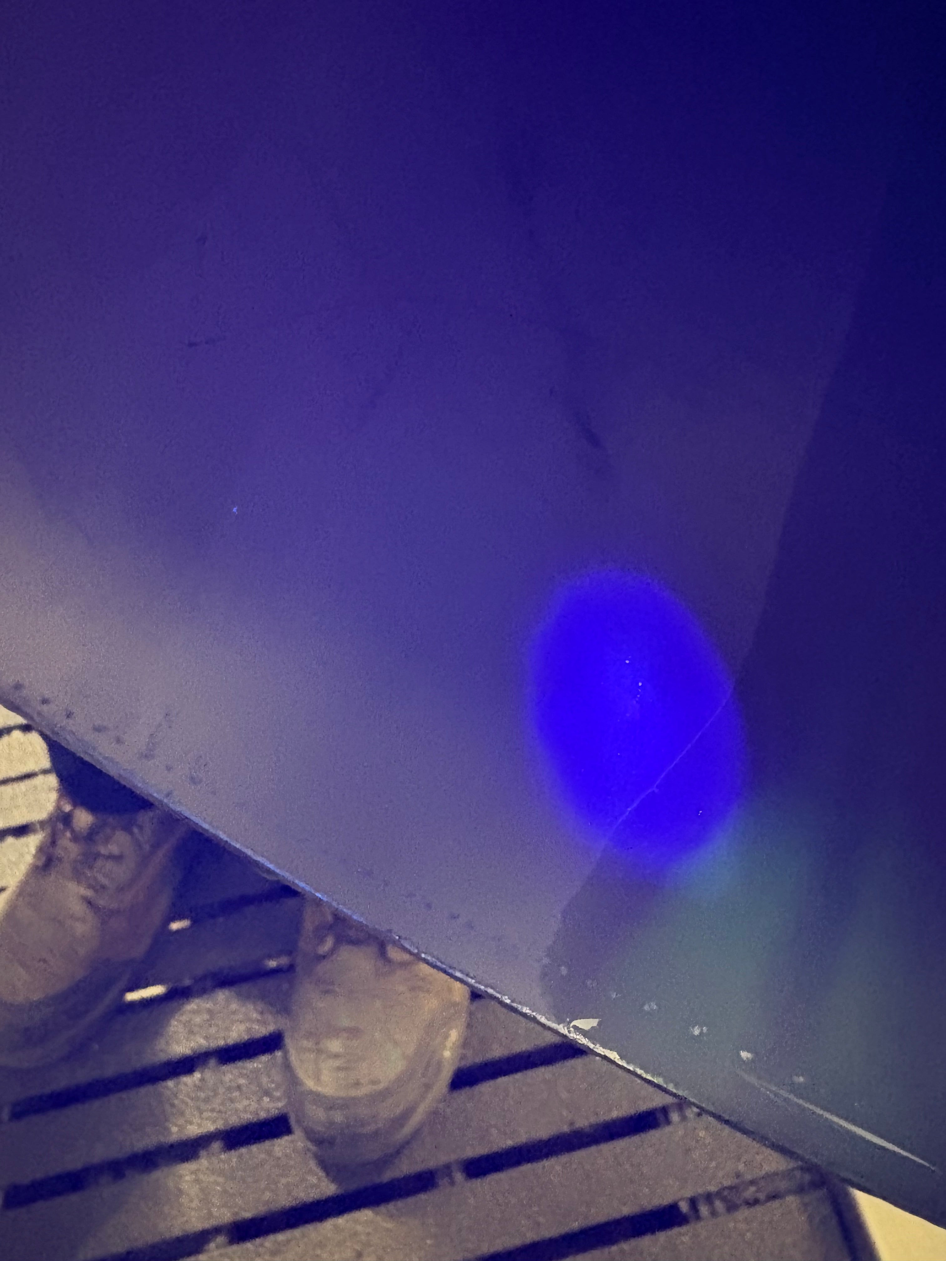 Riboflavin Coverage Test for CIP Cleaning and Spray Coverage Validation – Riboflavin Coverage Test
